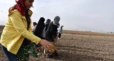 Doğubayazıtlı kadınlar toprağa hayat verdi