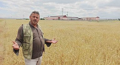 Dolu yağışı, çiftçinin bir yıllık emeği ve alın terini götürdü