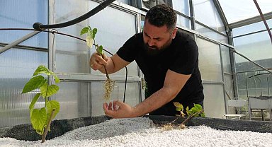 Dünyada ilk kez denendi, çiftçilerden yoğun ilgi gördü