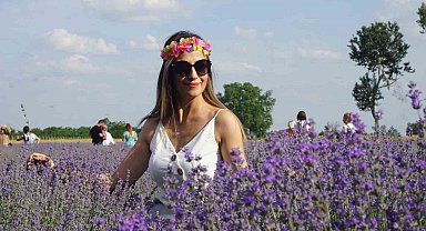 Edirne'de 'Lavanta Tarla Günleri' renkli görüntülerle başladı