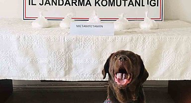 Edirne'de uyuşturucu operasyonu