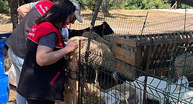 Edremit İlçe Tarım Müdürlüğü'nde 'Kurban Bayramı' alarmı