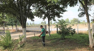 Efeler'de hayvan pazarı bayrama hazır