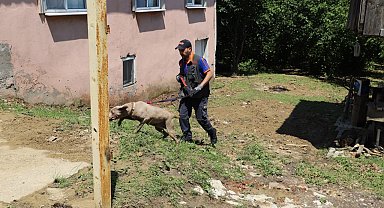 Ekipler her yerde kaybolan yaşlı kadını arıyor