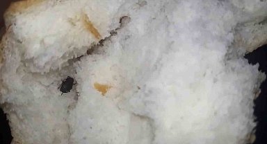 Ekmeğin içerisinden böcek çıktı