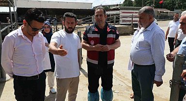 Elazığ'da Hayvan satış yerleri denetlendi