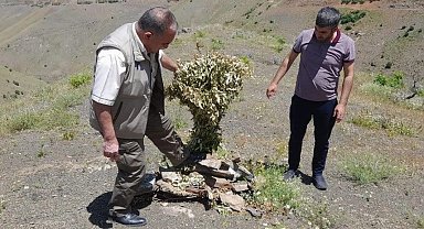 Elazığ'da kaçak avcılığın önlenmesi için denetimler sürüyor
