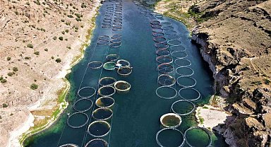 Elazığ'dan dünyaya Türk somonu: İhracat yüzde 100 artarak 60 milyon dolara ulaştı