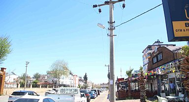 Elektrik teline konan papağanı kurtarmak isteyen gençten acı haber