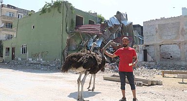 Enkaz kentte ilginç görüntü, başta kimse nereden geldiklerini anlayamadı