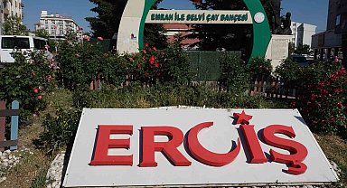 Erciş'te il olma heyecanı