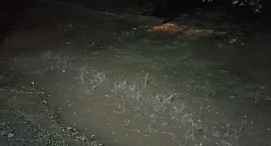 Erciş'te yağmur etkili oldu