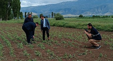 Erzincan'da 2 bin dönüm ekili araziyi dolu vurdu