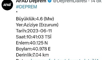 Erzurum 4,6 ile sallandı