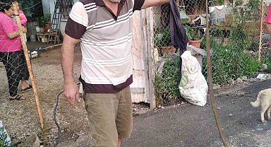 Eve giren yılanı eliyle yakaladı