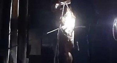 Evin çatı katına kaçan ineği itfaiye kurtardı