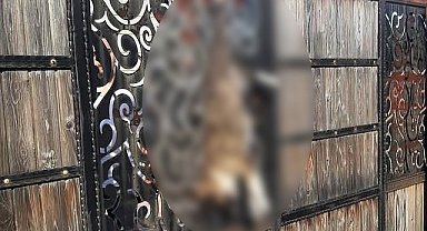 Evin kapısında asılı bulunan köpekle ilgili açıklama