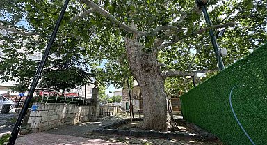 Evliya Çelebi gölgesinde not almıştı, ağırlığını kaldıramayınca güçlendirildi