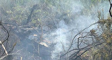 Fethiye'de çıkan orman yangını söndürüldü