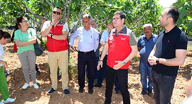 Fethiye'de incir üreticilerine uygulamalı eğitim