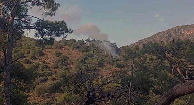 Fethiye'de orman yangını
