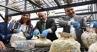 Fındık atığında üretim