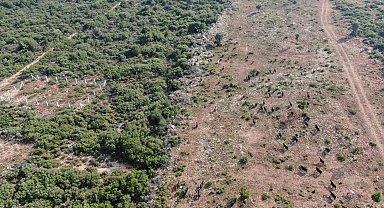 Firari keçiler drone ile bulundu
