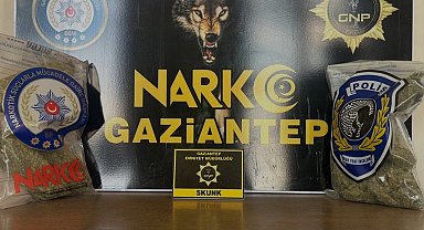 Gaziantep'te 2 kilo skunk ele geçirildi