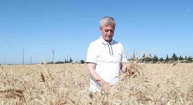 Gaziantep'te hasat sevinci