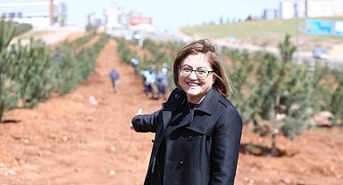 Gaziantep'te kişi başına düşen yeşil alan yaklaşık 13 metrekareye çıktı