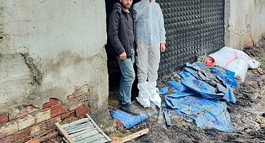 Gediz'de selden zarar gören tavuk işletmesinde hasar tespit çalışması