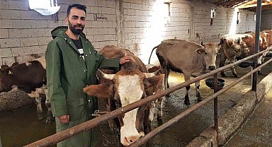 Genç çiftçi 6 inekle başladığı hayvancılıkta sayıyı 12.5 kat artırdı