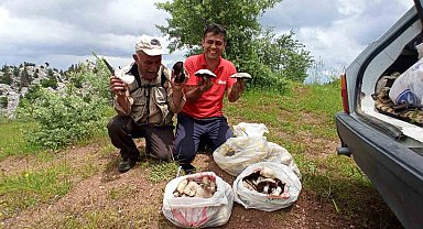 Giden Gelmez Dağlarında "Mor Mantar" toplama zamanı