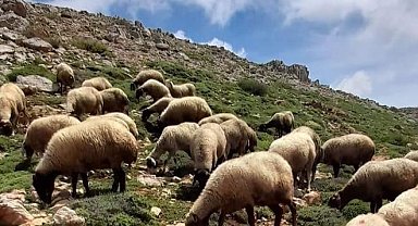 Göçerlere soğuk engeli