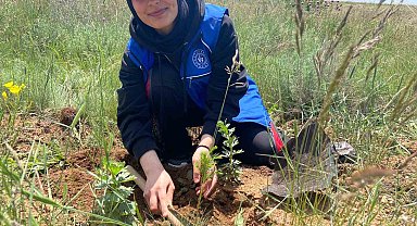 Gönüllü gençler fidanları toprakla buluşturdu, çevredeki çöpleri topladı