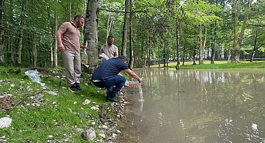 Güzlek Mesire Alanı Göleti'ne 500 koi balığı bırakıldı
