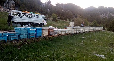 Hava şartları arıları olumsuz etkiledi