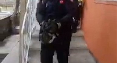 Havalandırma boşluğuna düşen yavru kediyi itfaiye kurtardı