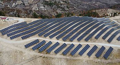 Hayat, enerjisini güneşten alıyor