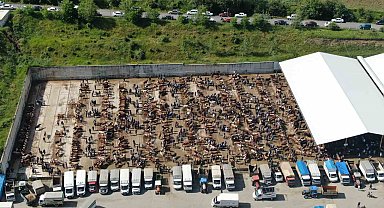 Hayvan pazarlarında Kurban Bayramı hareketliliği: Alıcı da satıcı da memnun