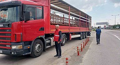 Hayvan taşıyan araçlar denetlendi