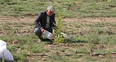 Her yıl binlerce fidanı toprakla buluşturuyor, bozkırı yeşile büründürüyor
