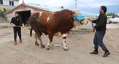 Heybeti kadar fiyatı da dudak uçuklatıyor