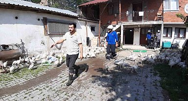 Hindi çiftliğinde yangın çıktı