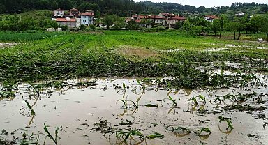 Hisarcık'ta sağanak yağış sonrası tarım arazileri sular altında kaldı