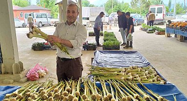 Hisarcık'ta yerli sarımsak çıktı, fiyatlar düştü
