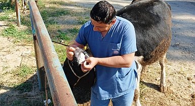 Hisarcık'ta zabıta ekiplerinden kurban satış yerlerinde denetim