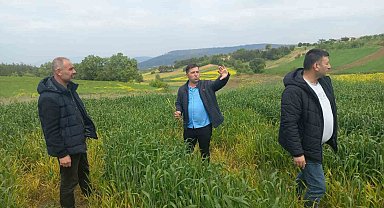 Hububat hastalık ve zararlı kontrolleri gerçekleştirildi