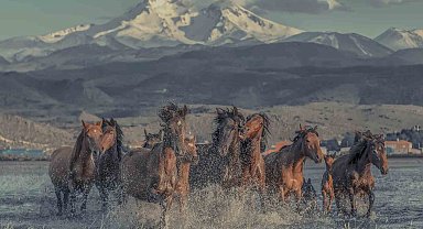 Hürmetçi Sazlığı Türkiye'nin bildiği tanıdığı bir alan olacak
