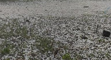 Iğdır'da yağan dolu ekili alana zarar verdi